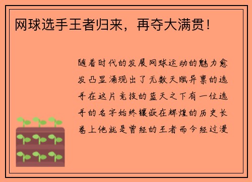 网球选手王者归来,再夺大满贯! 网球选手王者归来,再夺大满贯!