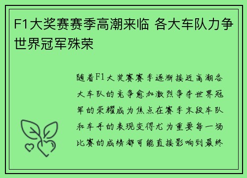 F1大奖赛赛季高潮来临 各大车队力争世界冠军殊荣 F1大奖赛赛季高潮来临 各大车队力争世界冠军殊荣
